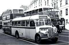 Buses at Wellington Square c1955